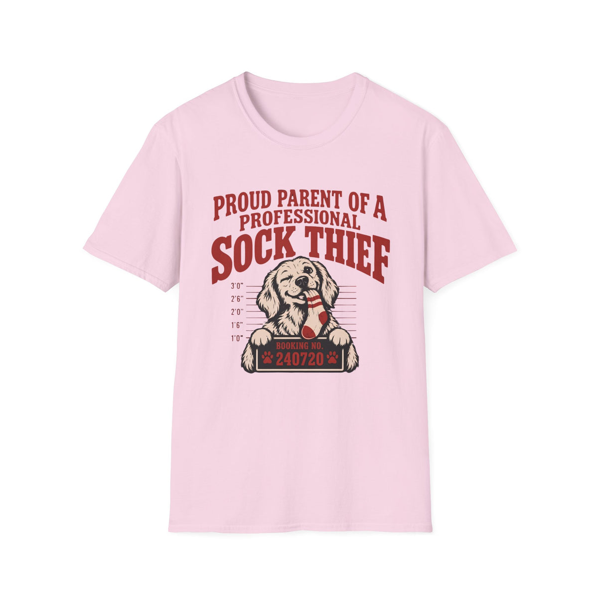 Professional Sock Thief T-Shirt